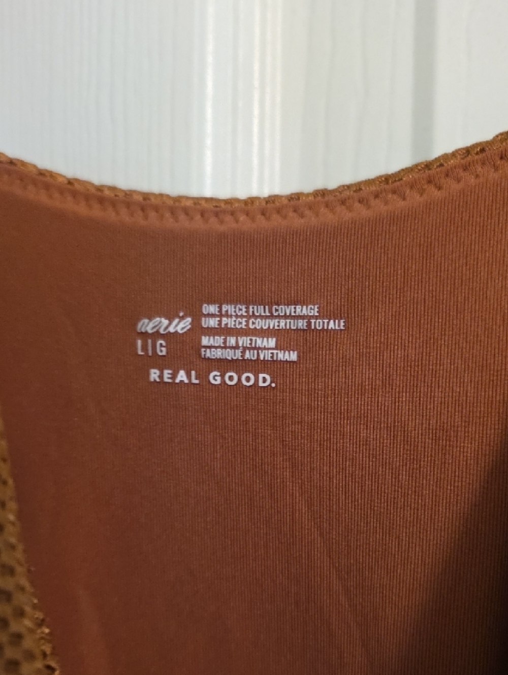 aerie Rust Brown Textured One-Piece Swimsuit with Front Tie - Picture 4 of 6